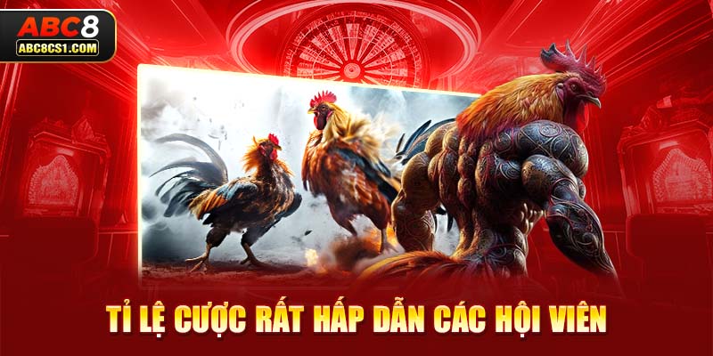 Tỉ lệ cược rất hấp dẫn các hội viên